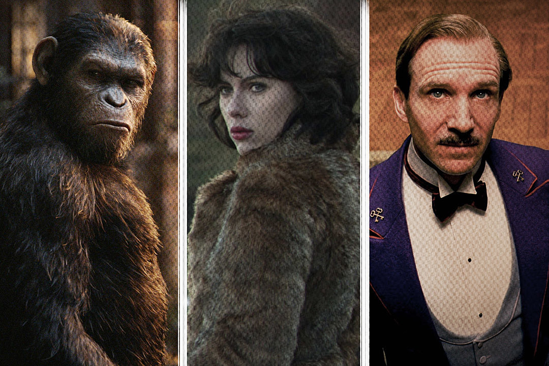 What were some of the top-rated movies of 2014?