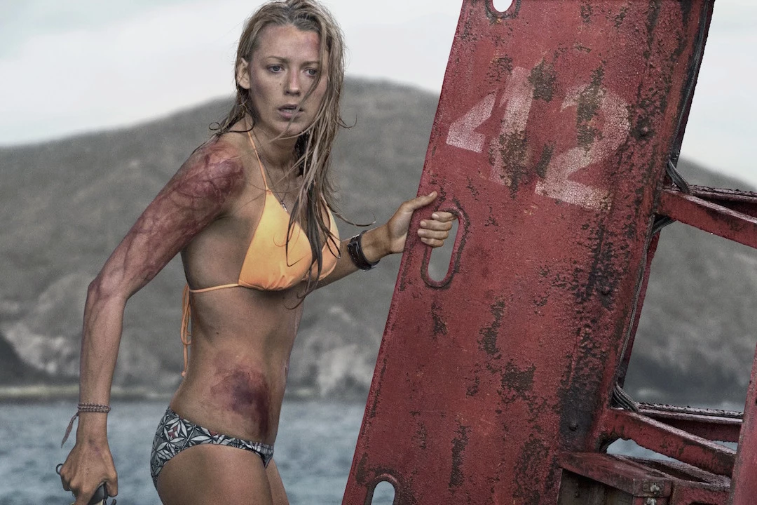 Image result for the shallows