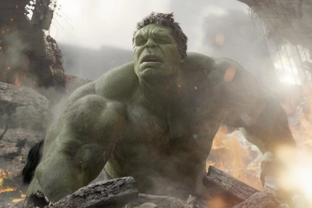 Hulk in 'The Avengers' Hulk in 'The Avengers'