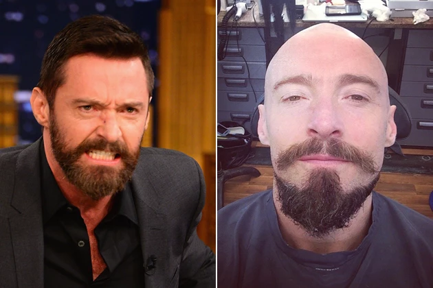 Hugh Jackman Bald Blackbeard Hugh Jackman Bald Blackbeard